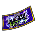 Ticket de tirage SP garanti THE PERFECT BEING