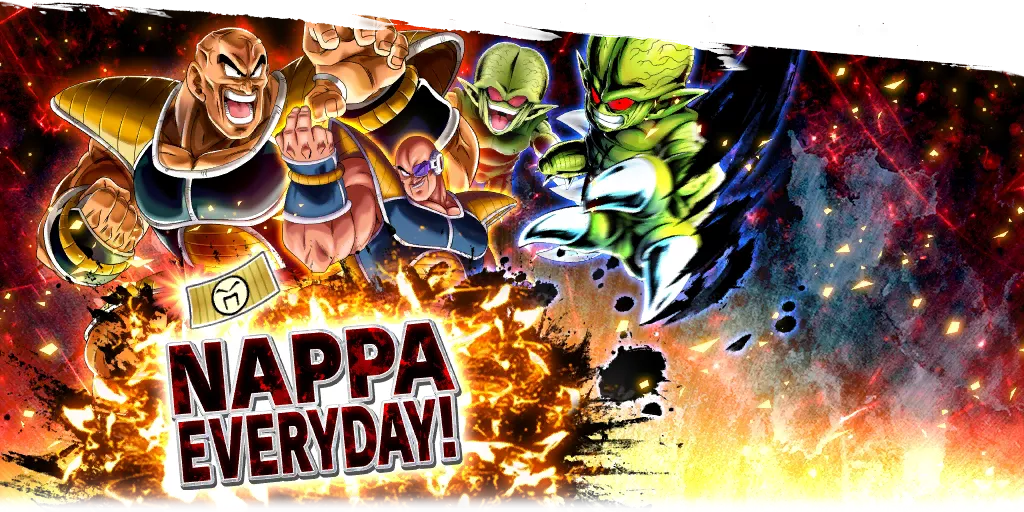 NAPPA EVERYDAY